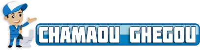 Logo Desentupidora Chamou Chegou 2 (2)