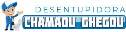 Logo Desentupidora Chamou Chegou